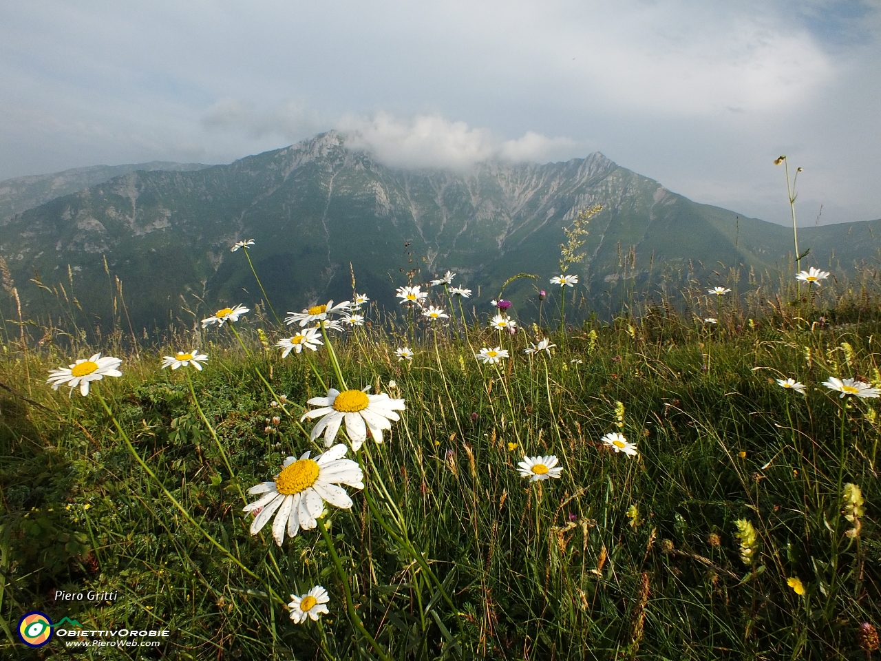 04 Omaggio floreale per Cima Menna.JPG